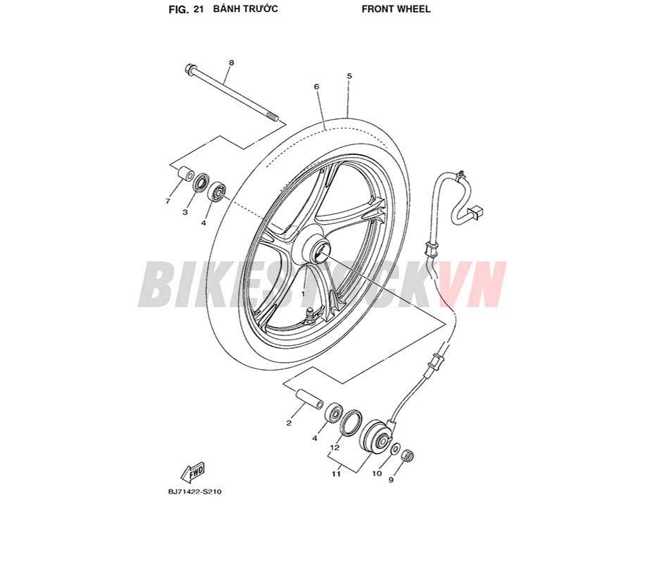 FIG-21_BÁNH TRƯỚC